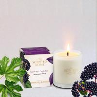 Ashleigh & Burwood Elderberry & Purple Basil Scented Candle Extra Image 1 Preview